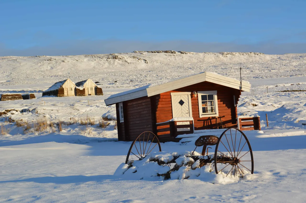 Winter Offers