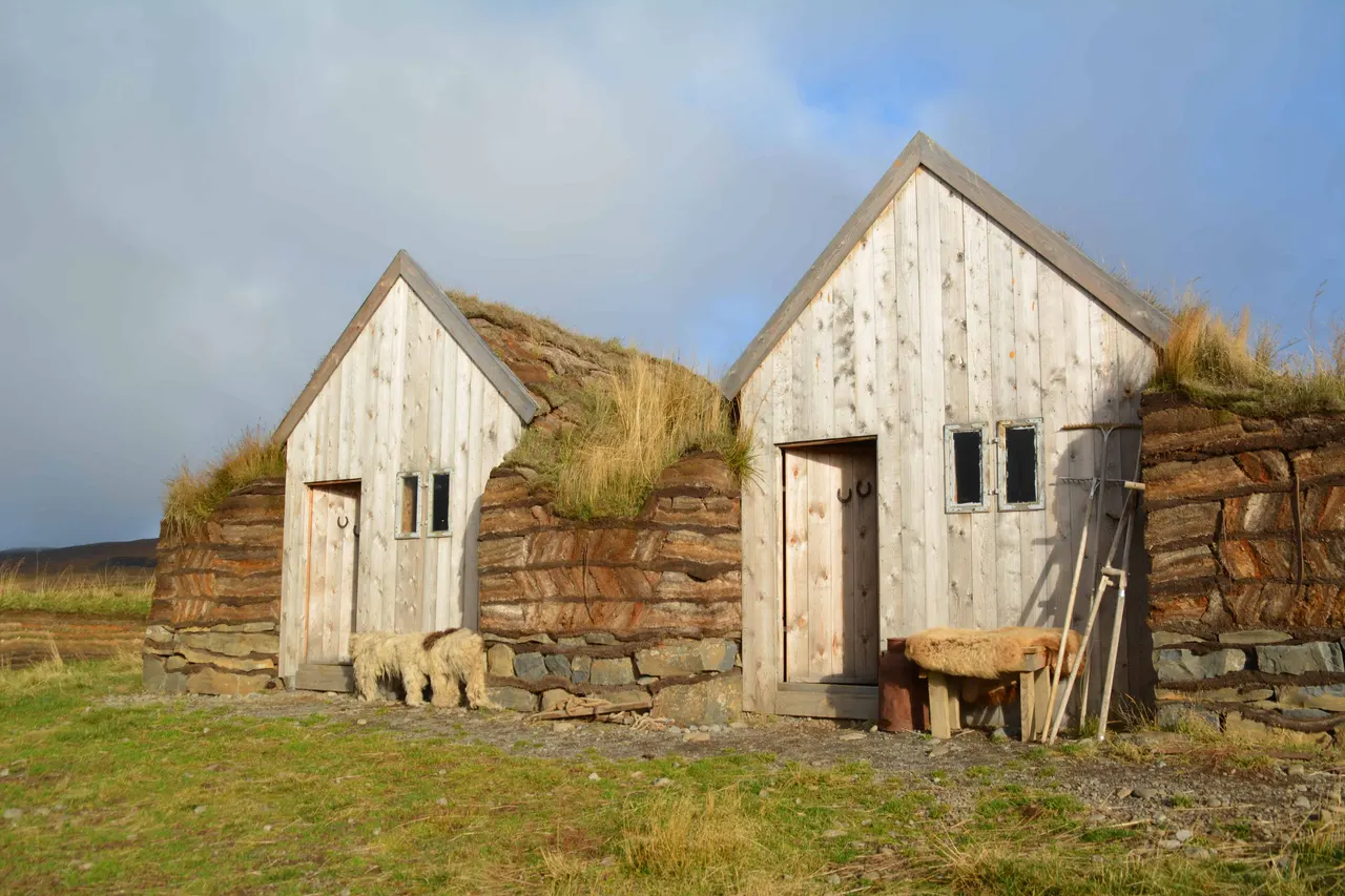 Horses, nature and hospitality